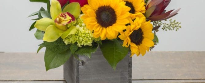 Bussey's Florist Offers Beautiful Graduation Flowers and Plants LOCAL SAME DAY & EXPRESS DELIVERY