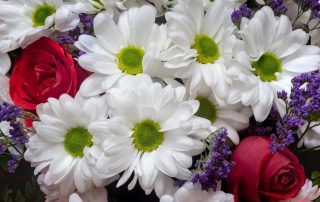 Bussey's Florist Independence Day Celebration Flowers Same Day Flower Delivery Service