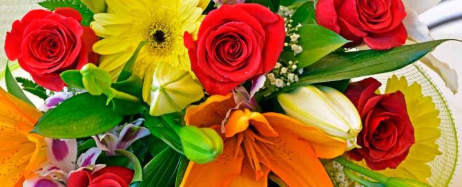 Bussey's Florist Flowers for Love & Romance Same Day & Express Flower Delivery