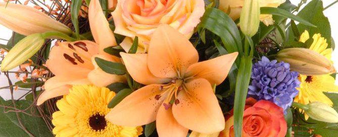 Bussey's Florist Offers Perfect National Sister's Day Flowers LOCAL SAME DAY & EXPRESS DELIVERY