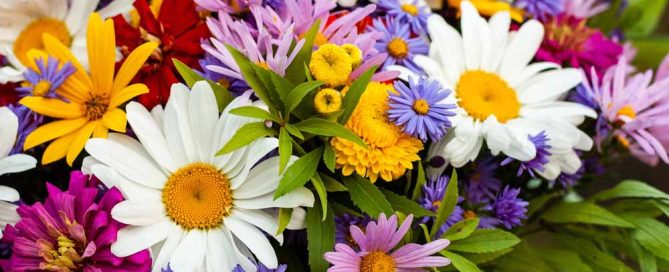 Bussey's Florist Offers Beautiful Labor Day Flowers and Plants Cedartown Georgia Florist Voted Best Local Flower Shop