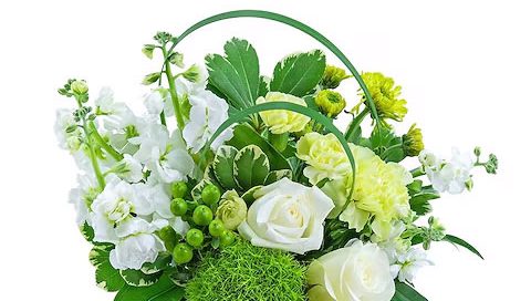 Bussey's Florist Offers Heartfelt Grandparents Day Floral Gifts LOCAL SAME DAY & EXPRESS DELIVERY