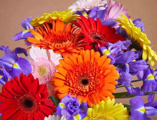 Bussey’s Florist Offers Same Day Flower Delivery to Cartersville, Georgia