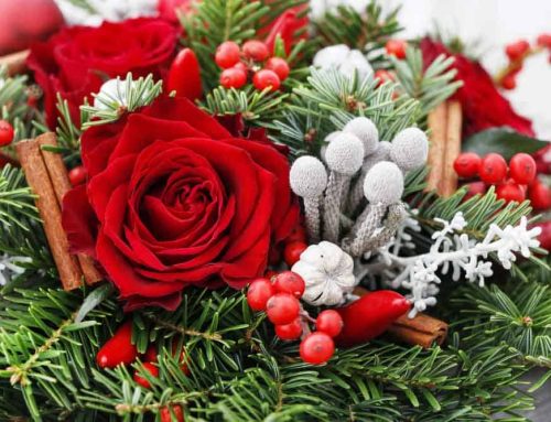 Bussey’s Florist Offers Beautiful Christmas and Hanukah Flowers for Rome Georgia Flower Delivery