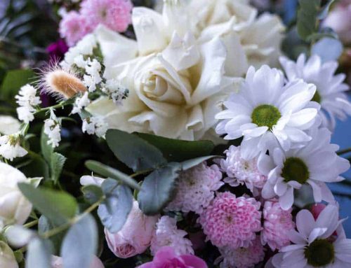 Saint James Episcopal Church is Offered Beautiful Winter Flowers from Bussey’s Florist