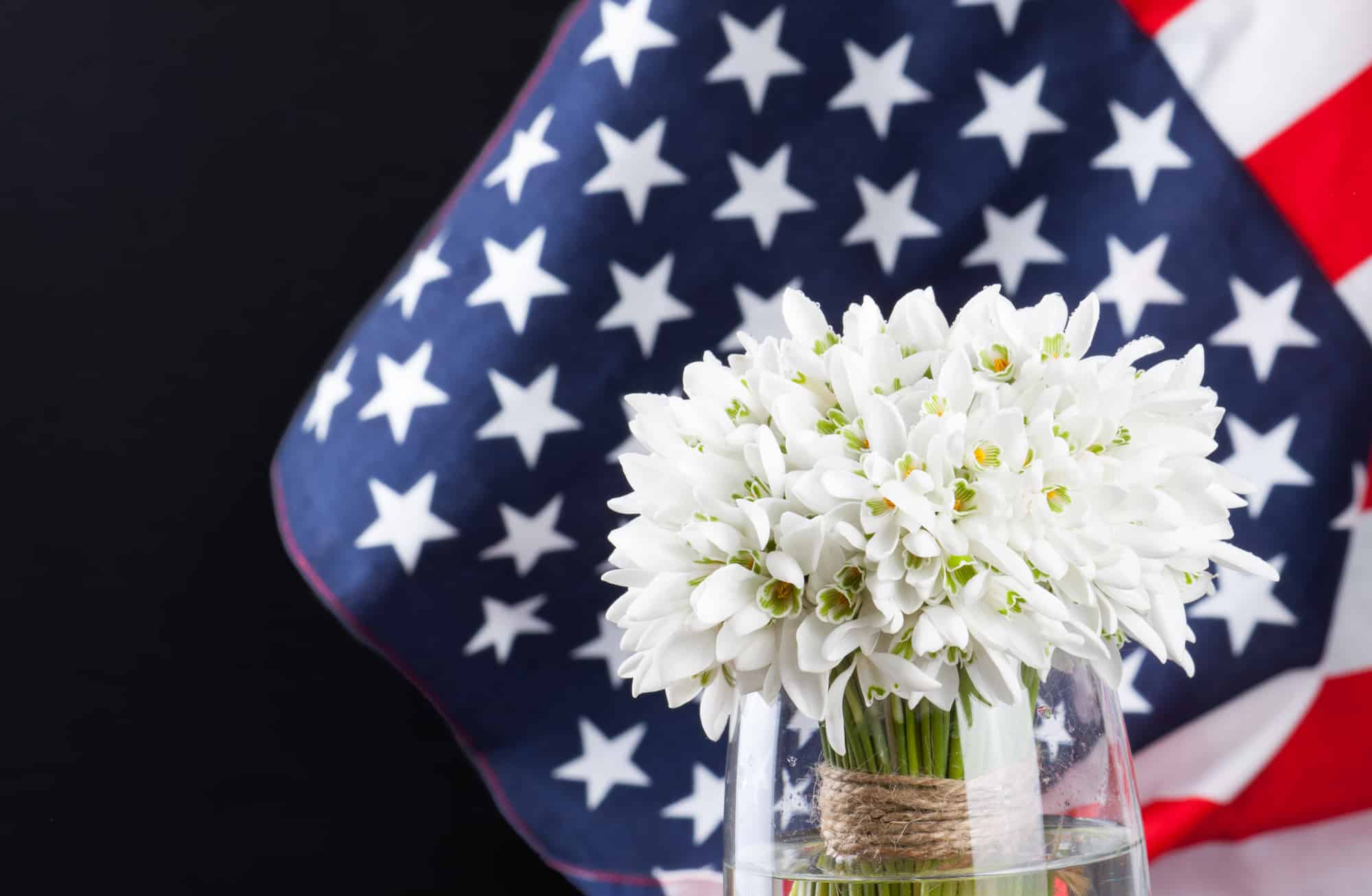Bussey’s Florist has wonderful, fresh and memorable flowers and plants as gifts to honor Veterans Day on November 11th