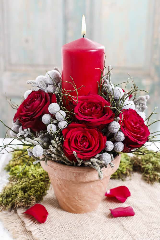 Your home will be so festive and fresh this Thanksgiving and holiday season with flowers and gifts from Bussey’s Florist