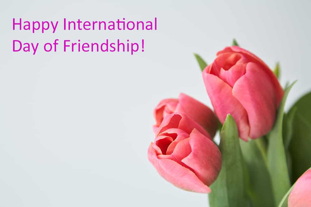 Make New Friends on International Day of Friendship by Giving Bussey’s Florist Fresh Flowers