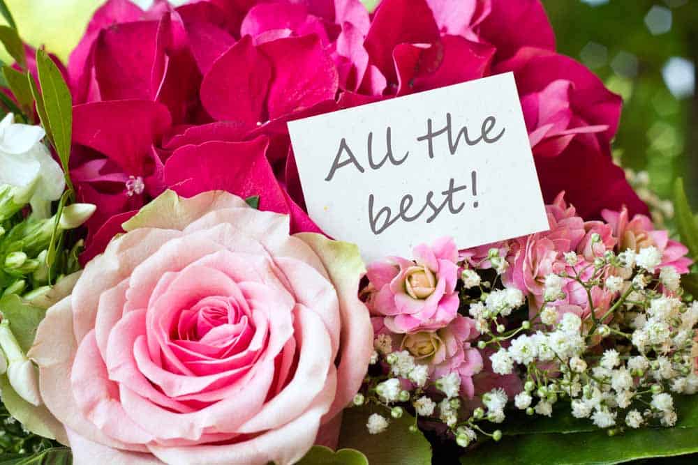 We Offer Fresh and Thoughtful Graduation Congratulations Flowers. Apply Discount Coupons for Big Savings!