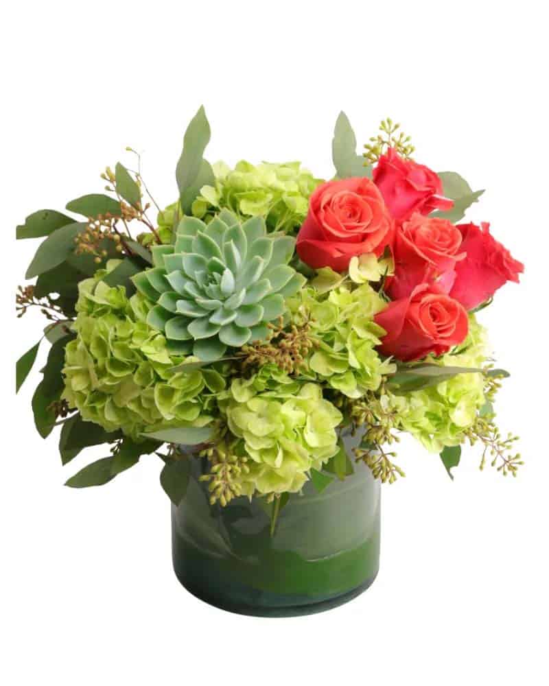 This School Year Completion, Send Teacher Thank You Flowers to Show Appreciation. Discount Coupons Below for Savings!