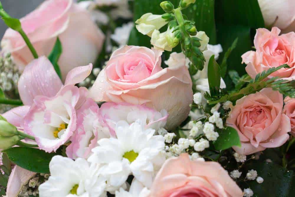 Browse Our Beautiful Flower Collection for All Occasions Including Yom Kippur