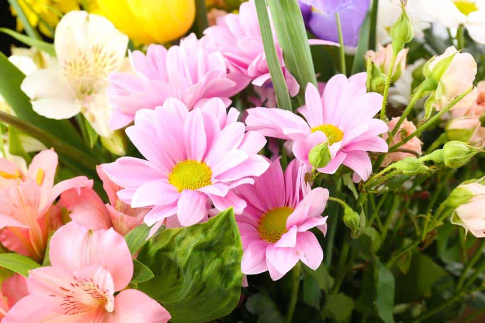 Shop Here to Send Heartfelt National Daughters and Sons Day Flowers
