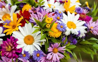 Bussey's Florist Offers Beautiful Labor Day Flowers and Plants Cedartown Georgia Florist Voted Best Local Flower Shop