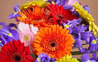 Bussey's Florist Provides Same Day Delivery of Gorgeous for Special Occasions