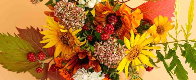 Cartersville Georgia Flower Delivery for Thanksgiving and All Occasions is Available at Bussey's Florist