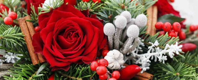 Bussey's Florist Offers Christmas and Hanukah Flowers