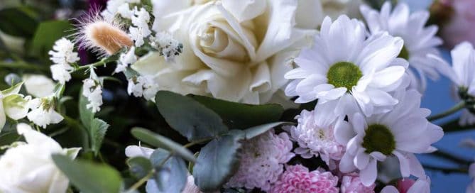 Bussey's Florist Offers Winter Flowers