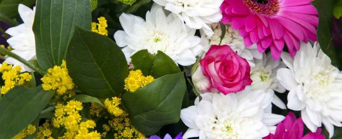 Bussey's Florist offers gorgeous sympathy flowers