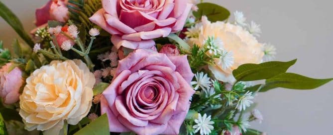 front view pinks and yellow rose flowers and green leaf on white background, nature, template, decor, copy space